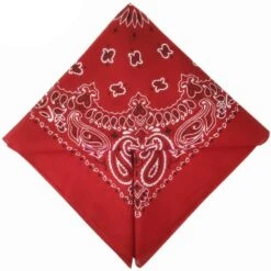 Bandana Renaud | RoyalBandana -RoyalBandana Shop Bandana Renaud Plie