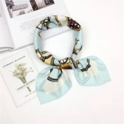 Bandana Carrosse | RoyalBandana 15 Bandana Carrosse | RoyalBandana -RoyalBandana Shop Bandana carosse bleu ciel