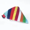 Bandana Chien Arc-en-Ciel | RoyalBandana