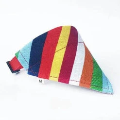Bandana Chien Arc-en-Ciel | RoyalBandana