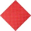 Bandana à Pois Rouge | RoyalBandana