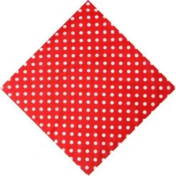 Bandana à Pois Rouge | RoyalBandana