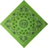 Bandana Cercle Paisley | RoyalBandana