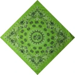 Bandana Cercle Paisley | RoyalBandana
