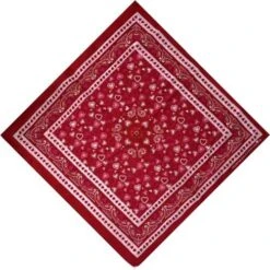Bandana Coeur Paisley | RoyalBandana