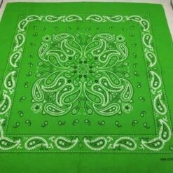 Bandana Émeraude Vert | RoyalBandana