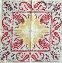 Bandana Paisley Indien | RoyalBandana -RoyalBandana Shop bandanahommepaisleyindien